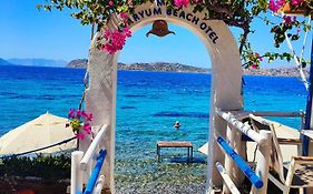 Mavi Akvaryum Pension